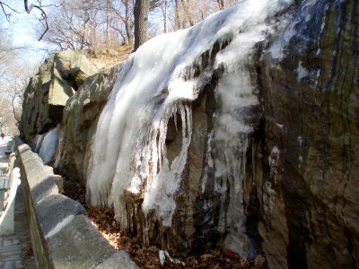 A frozen waterfall in Central Park