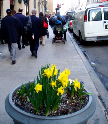 Signs of Spring on 33rd St