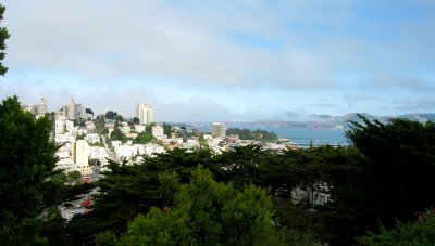 Atop Telegraph Hill