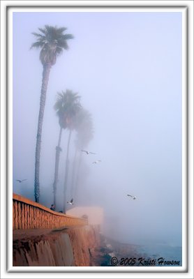 Beachside (Butterfly Beach)