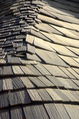 03_CRW_7567.jpg