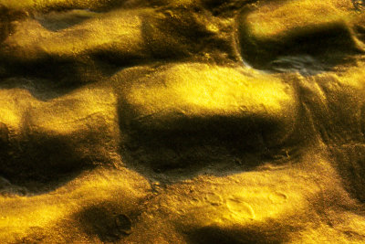 03_CRW_7776.jpg