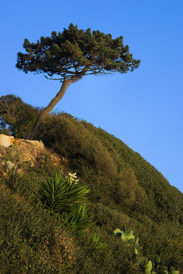 03_CRW_5860.jpg