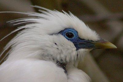 03CRW_9308.jpg
