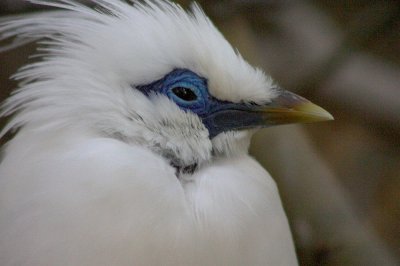 03CRW_9310.jpg
