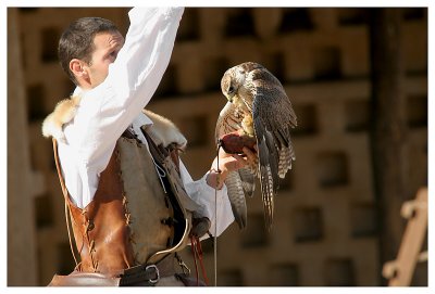 Le bal des oiseaux fantômes