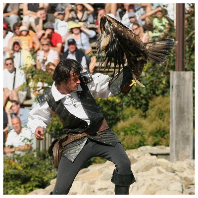 Le bal des oiseaux fantômes