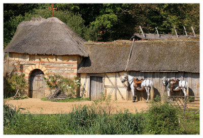 Les Vikings