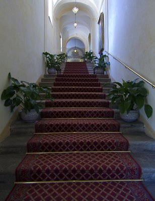 _MG_3285.jpg