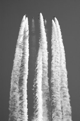 arrowsbw.jpg