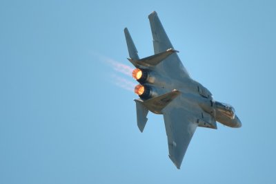 eagle1.jpg