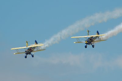 butterlyduo.jpg