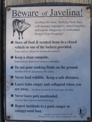 74RGVCamp.jpg