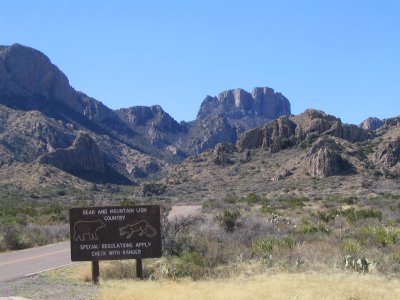 81ChisosBasin.JPG