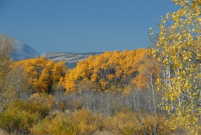 DSC_1722_resize.JPG