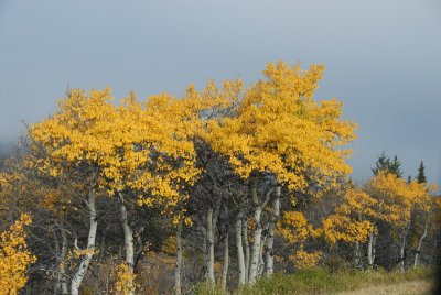 DSC_1752_resize.JPG