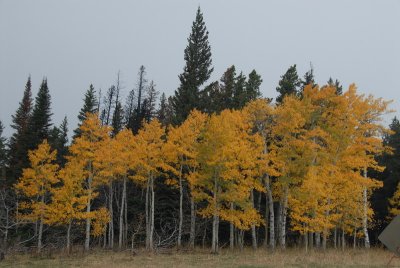 DSC_1760_resize.JPG