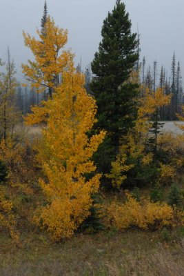 DSC_1782_resize.JPG