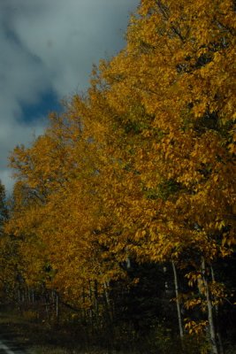DSC_1836_resize.JPG