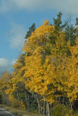 DSC_1850_resize.JPG