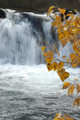 DSC_1948_resize.JPG
