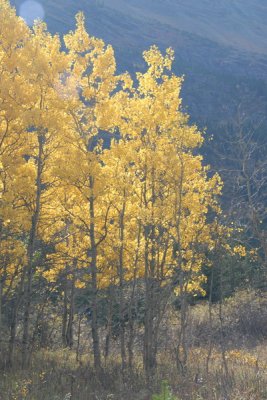 DSC_1989_resize.JPG