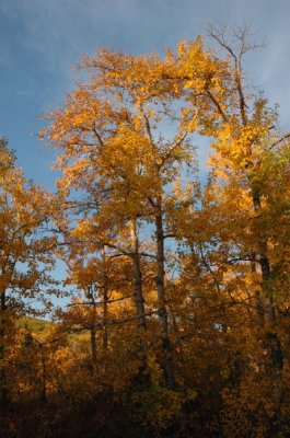 DSC_3762_resize.JPG