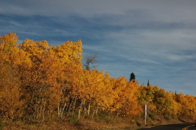 DSC_3781_resize.JPG