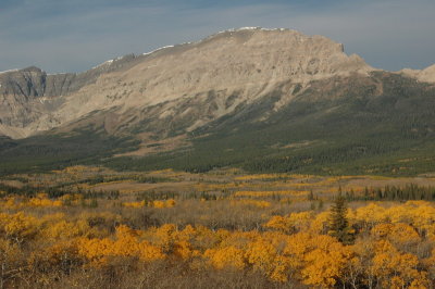DSC_3791_resize.JPG