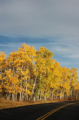 DSC_3795_resize.JPG