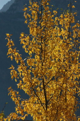 DSC_3889_resize.JPG