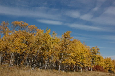 DSC_3963_resize.JPG