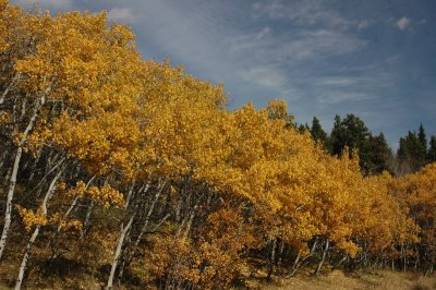 DSC_4006_resize.JPG