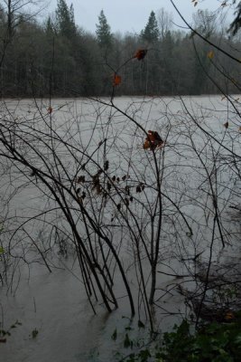 DSC_2500_resize.JPG