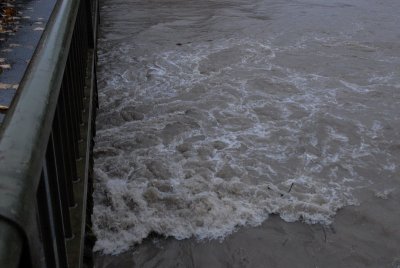 DSC_2504_resize.JPG