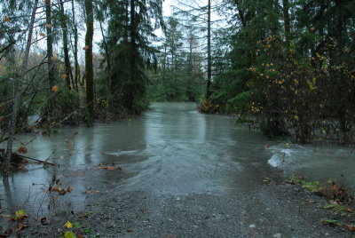 DSC_2567_resize.JPG