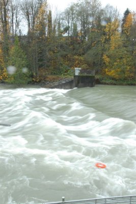 concrete_flood_1106