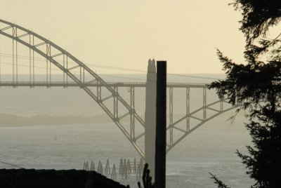 DSC_2642_resize.JPG