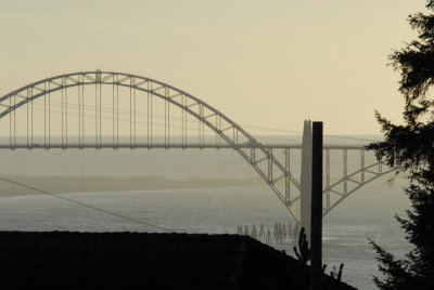 DSC_2643_resize.JPG