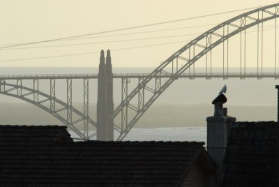 DSC_2645_resize.JPG