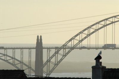 DSC_2646_resize.JPG