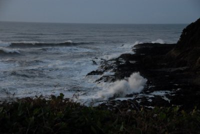 DSC_2651_resize.JPG