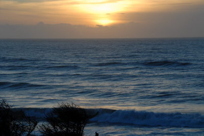 DSC_2663_resize.JPG