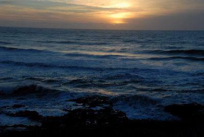 DSC_2668_resize.JPG