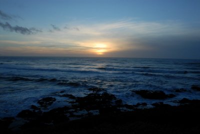 DSC_2669_resize.JPG