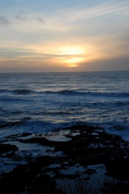 DSC_2671_resize.JPG