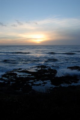 DSC_2673_resize.JPG
