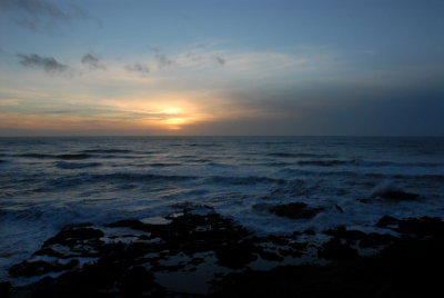 DSC_2678_resize.JPG