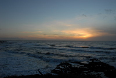 DSC_2685_resize.JPG