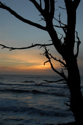 DSC_2689_resize.JPG